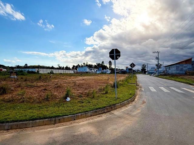 Terreno / Lote para Venda em Criciúma/SC Jardim das Paineiras