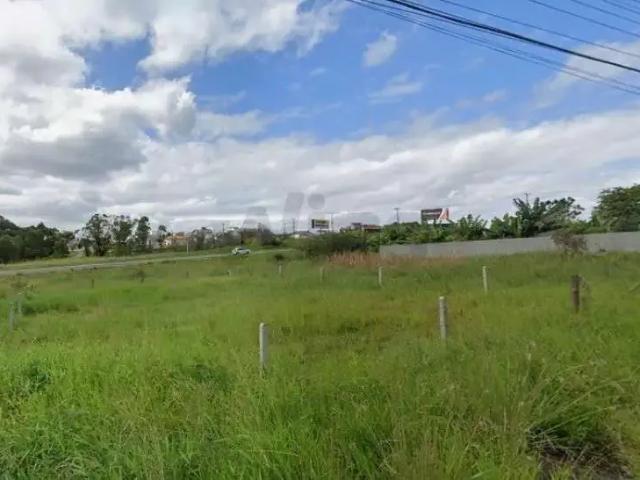 Terreno / Lote para Venda em Criciúma/SC Jardim Maristela