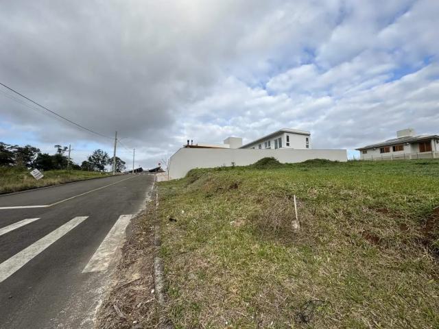 Terreno / Lote para Venda em Criciúma/SC Laranjinha