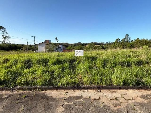 Terreno / Lote para Venda em Criciúma/SC Linha Anta