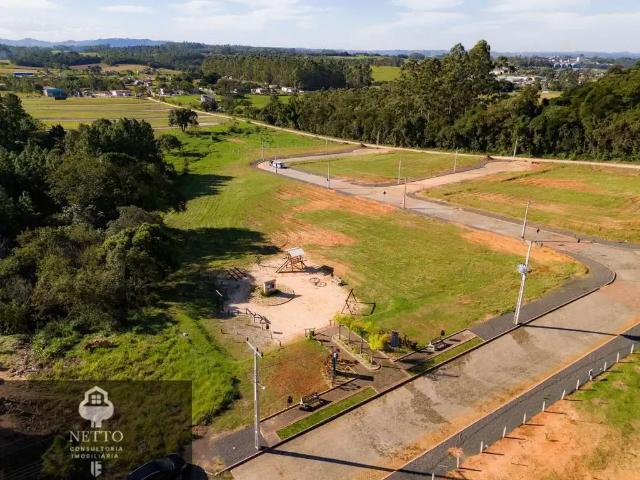 Terreno / Lote para Venda em Criciúma/SC Linha Anta