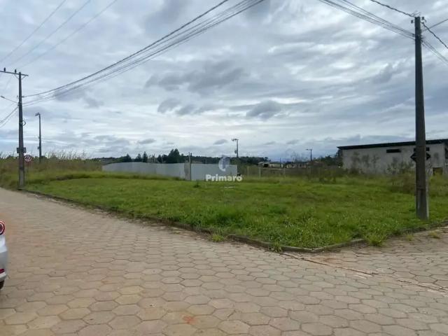 Terreno / Lote para Venda em Criciúma/SC Linha Anta