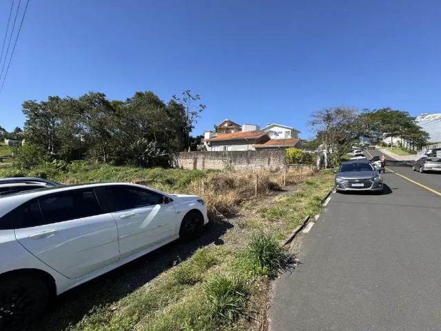 Terreno / Lote para Venda em Criciúma/SC Pio Corrêa