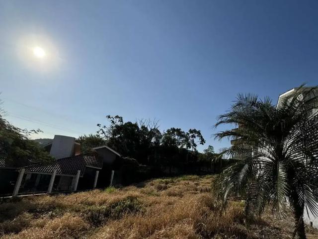 Terreno / Lote para Venda em Criciúma/SC Pio Corrêa
