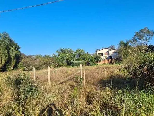 Terreno / Lote para Venda em Criciúma/SC Primeira Linha