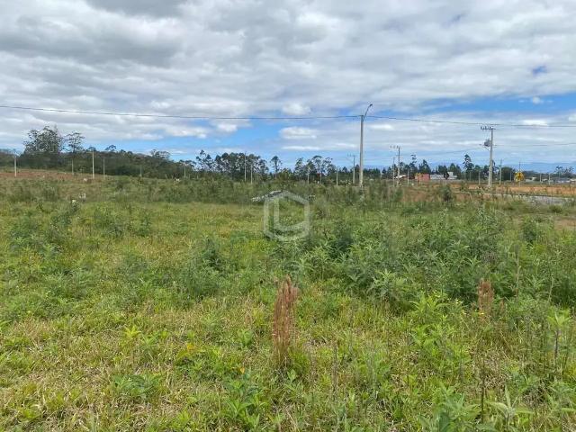 Terreno / Lote para Venda em Criciúma/SC Primeira Linha