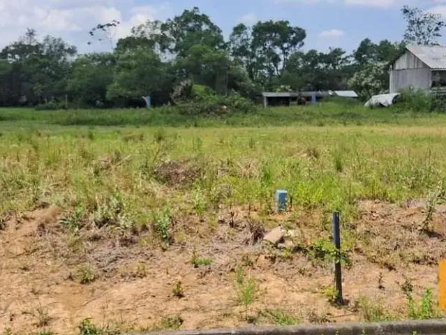 Terreno / Lote para Venda em Criciúma/SC Quarta Linha