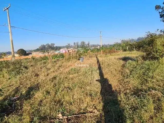 Terreno / Lote para Venda em Criciúma/SC Quarta Linha