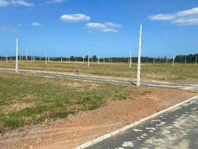 Terreno / Lote para Venda em Criciúma/SC São Defende