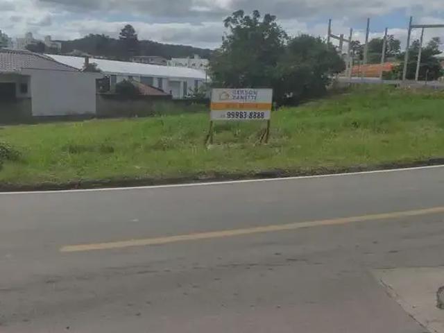 Terreno / Lote para Venda em Criciúma/SC São Luiz