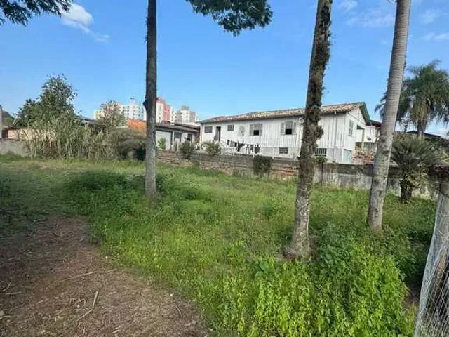 Terreno / Lote para Venda em Criciúma/SC São Luiz