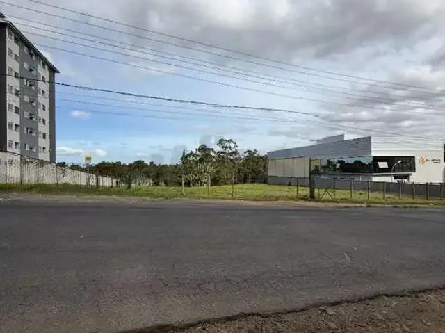 Terreno / Lote para Venda em Criciúma/SC São Luiz