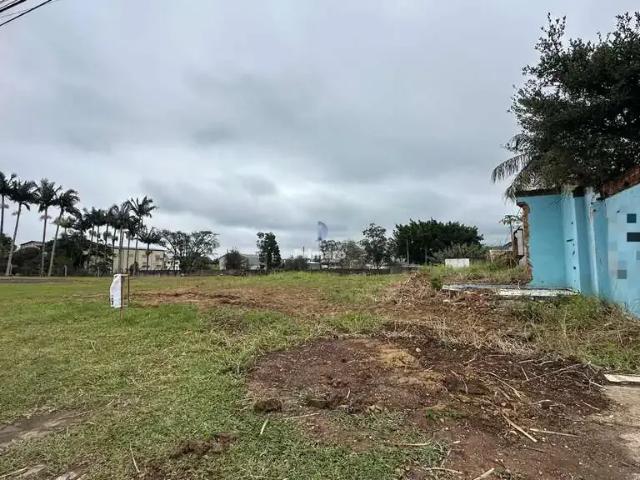Terreno / Lote para Venda em Criciúma/SC São Luiz