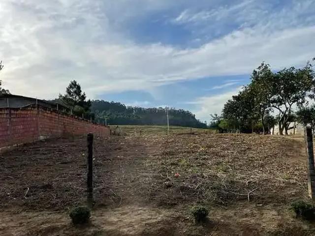 Terreno / Lote para Venda em Criciúma/SC São Marcos