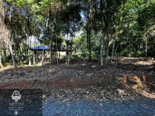 Terreno / Lote para Venda em Criciúma/SC São Simão