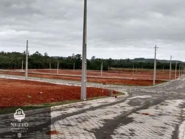 Terreno / Lote para Venda em Criciúma/SC Sangão