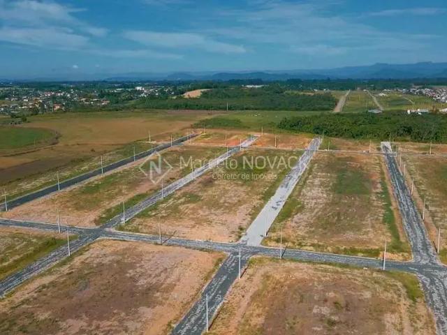 Terreno / Lote para Venda em Criciúma/SC Santa Luzia
