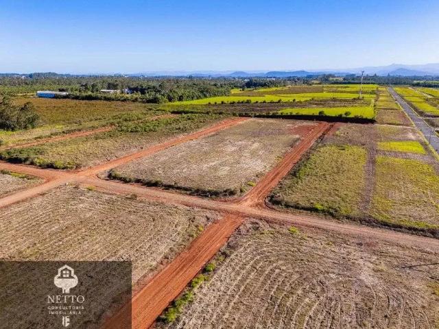Terreno / Lote para Venda em Criciúma/SC Santa Luzia