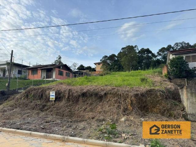 Terreno / Lote para Venda em Criciúma/SC Santo Antônio