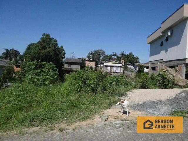 Terreno / Lote para Venda em Criciúma/SC Santo Antônio