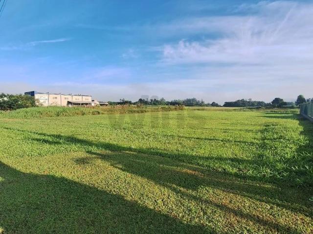 Terreno / Lote para Venda em Criciúma/SC Universitário