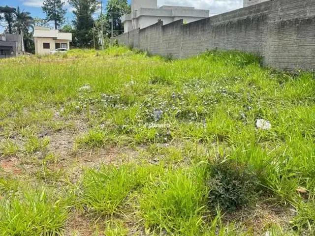 Terreno / Lote para Venda em Criciúma/SC Vila Floresta II