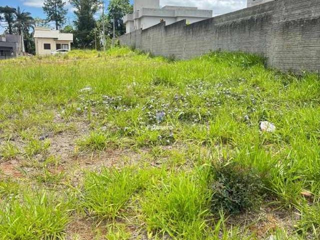 Terreno / Lote para Venda em Criciúma/SC Vila Floresta II
