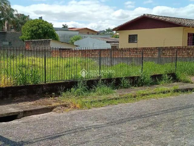Terreno / Lote para Venda em Criciúma/SC Vila Isabel