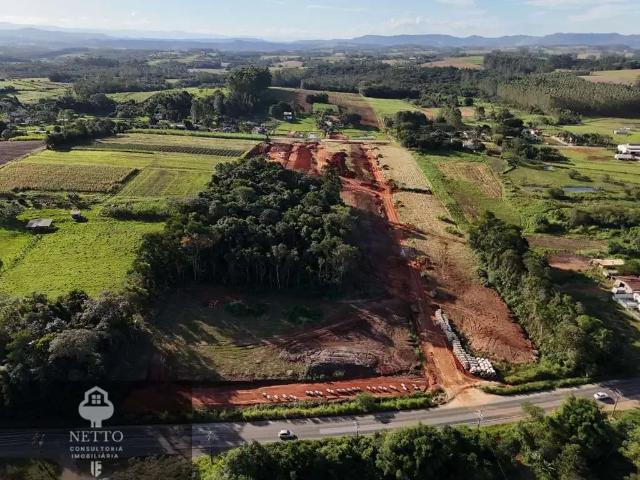 Terreno / Lote para Venda em Criciúma/SC Vila Selinger