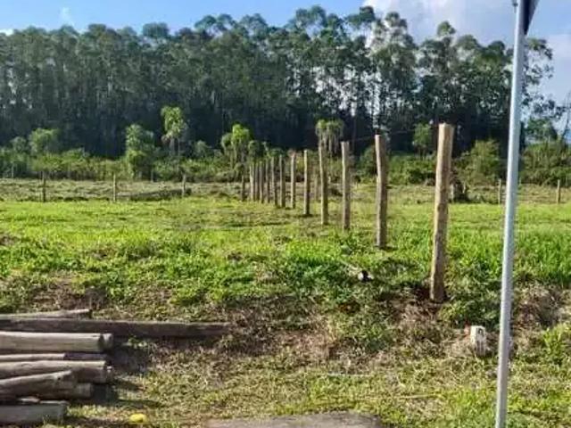 Terreno / Lote para Venda em Criciúma/SC Vila Zuleima