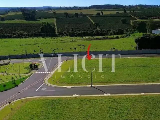Terreno / Lote para Venda em Cristais Paulista/SP Centro