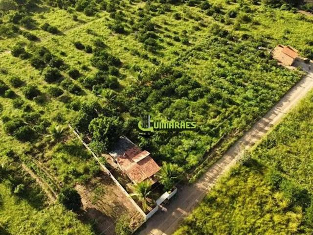 Terreno / Lote para Venda em Cruz das Almas/BA Suzana