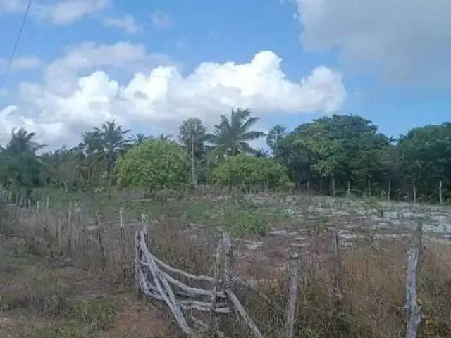 Terreno / Lote para Venda em Cruz/CE Preá