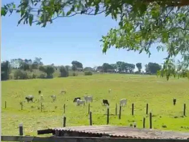 Terreno / Lote para Venda em Cruzeiro do Oeste/PR Zona Rural