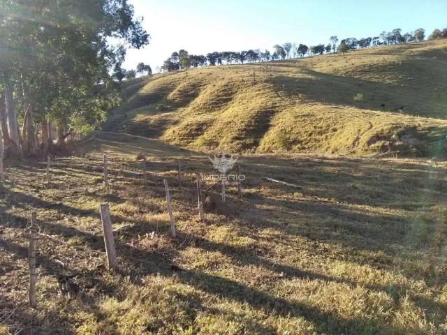 Terreno / Lote para Venda em Crucilândia/MG Zona Rural