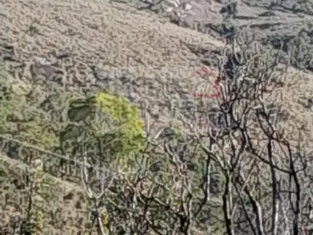 Terreno / Lote para Venda em Cunha/SP Zona Rural