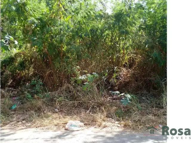 Terreno / Lote para Venda em Cuiabá/MT Araés