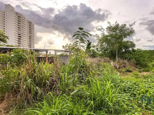 Terreno / Lote para Venda em Cuiabá/MT Jardim Santa Marta