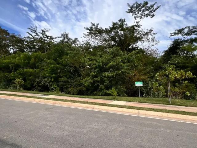Terreno / Lote para Venda em Cuiabá/MT Jardim Universitário