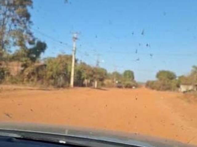 Terreno / Lote para Venda em Cuiabá/MT Nova Esperança