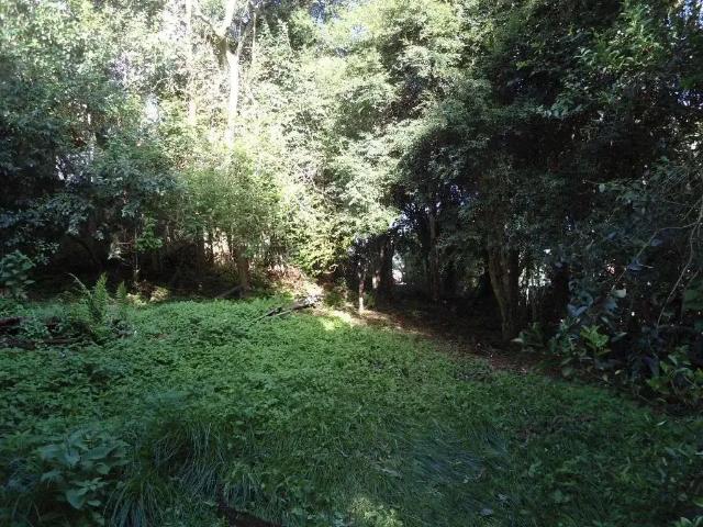 Terreno / Lote para Venda em Curitiba/PR Mercês