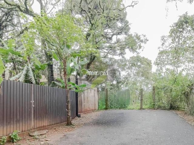 Terreno / Lote para Venda em Curitiba/PR Mercês