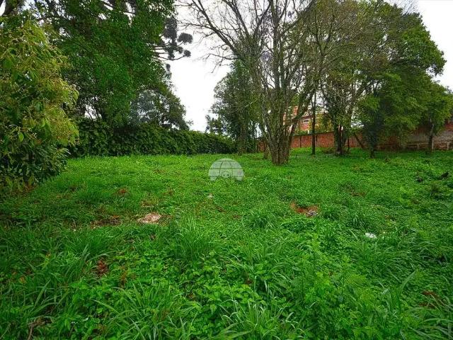 Terreno / Lote para Venda em Curitiba/PR Mossunguê