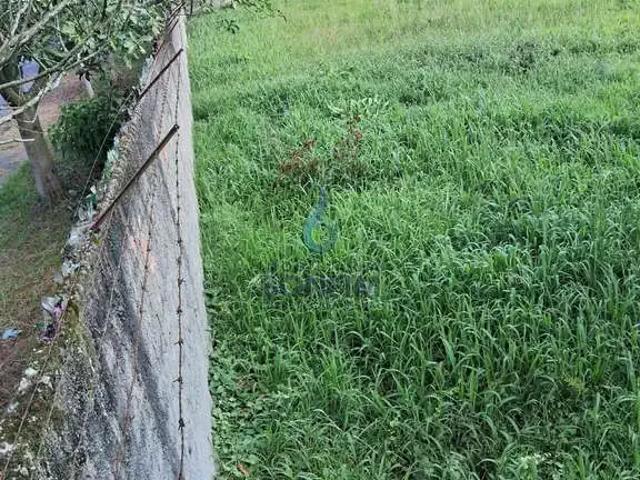Terreno / Lote para Venda em Curitiba/PR Novo Mundo
