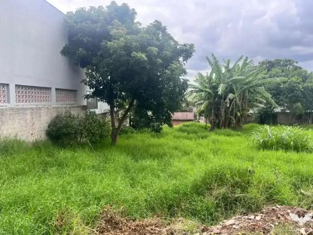 Terreno / Lote para Venda em Curitiba/PR Augusta