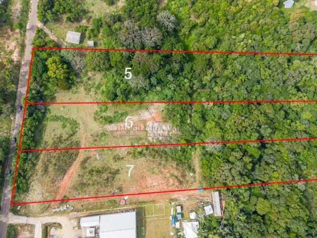 Terreno / Lote para Venda em Curitiba/PR Augusta