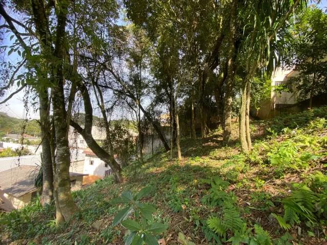 Terreno / Lote para Venda em Curitiba/PR Abranches
