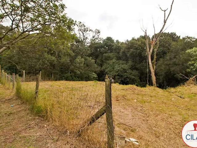 Terreno / Lote para Venda em Curitiba/PR Abranches