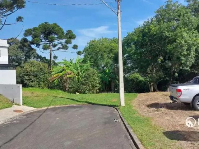 Terreno / Lote para Venda em Curitiba/PR Abranches