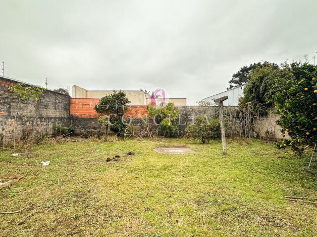 Terreno / Lote para Venda em Curitiba/PR Alto Boqueirão